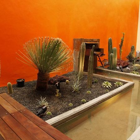 Coyoacan - Inn Mexiko-Stadt Exterior foto